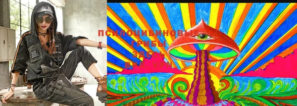 jwh Лиски