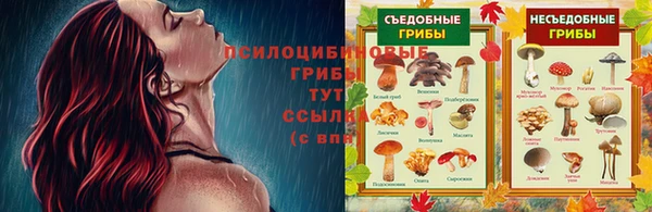 jwh Лиски